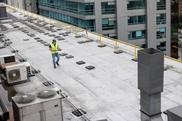 Best Skylight Installation and Repair  in Phillipsburg, KS